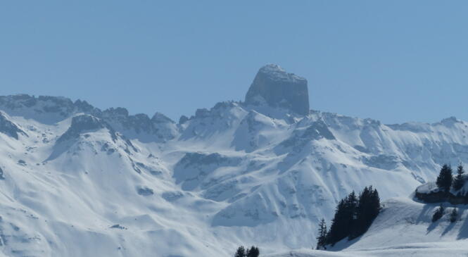 SKI DE RANDONNEE INITIATION - GROUPE 1 COMPLET image article
