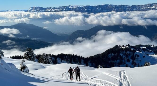 SUPER JOURNEE A SUPER COLLET image article