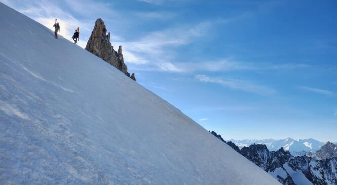 Les Bananes 2024, chapitre 5 image article