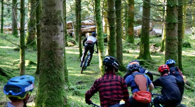 CREATION ECOLE VTT JEUNES EN SEPTEMBRE ! image article