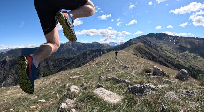 Festi'Trail saison 2 : Le trail fait sa rentrée image article