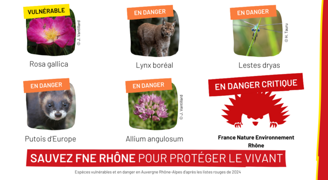 FNE Rhône est en DANGER CRITIQUE : faites un don pour le vivant avant le 20 décembre image article