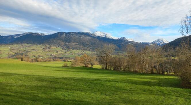 Boussole, azimuts et jalons chez les Baujus image article