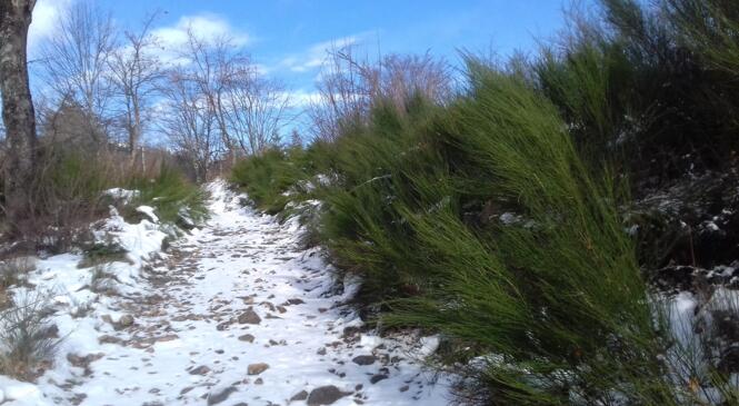 Rando : Dimanche 15 décembre à la Croix de Chirol (Nord Ardéche) image article