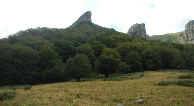 WE PROGESSIF ET FESTIF image article