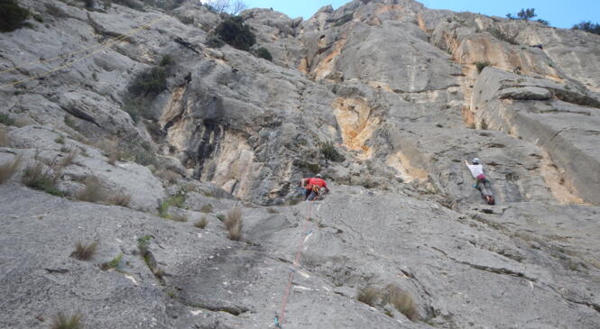 RETOUR ESCALADE 3 JRS DS LE GARD image article