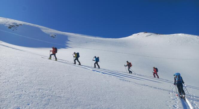 Raid en Vanoise, les 5 plumes du Lagopède accompli image article