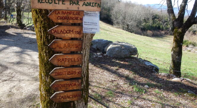 SUITE CYCLE 6A COEUR image article