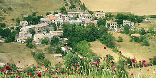 image article