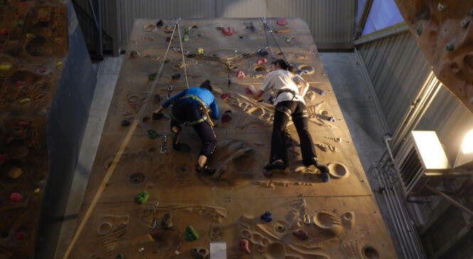 MUR DE LYON2 : FIN SECOND TRIMESTRE image article