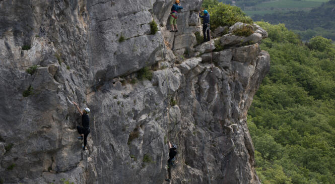 Premiers pas en falaise image article
