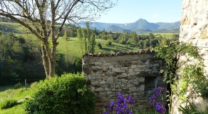 Les sentiers embaumés de la Drôme provensale image article