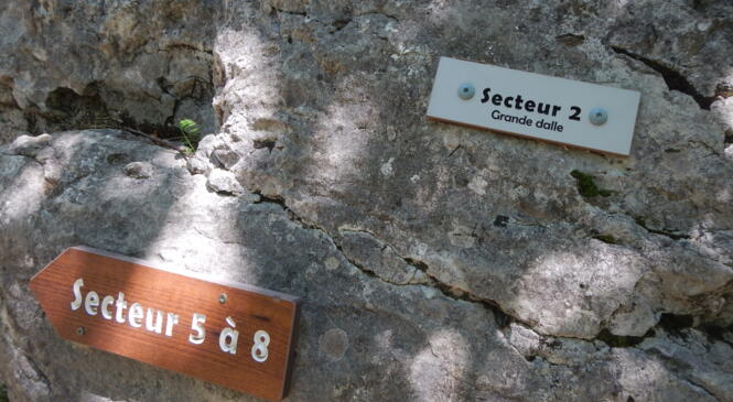 MUR JOUHAUX ET UNIVERSITE LYON 2 : DECOUVERTE FALAISE image article