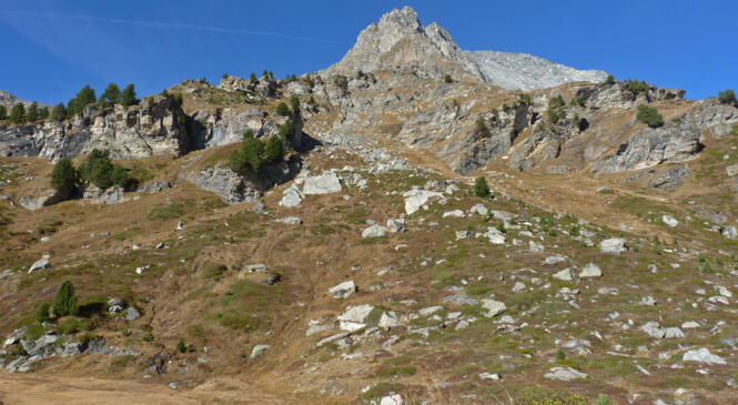 Au plus haut du "Rateau" ... image article