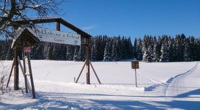Hé ! Bonjour monsieur l’Hiver ! Ça faisait longtemps… image article