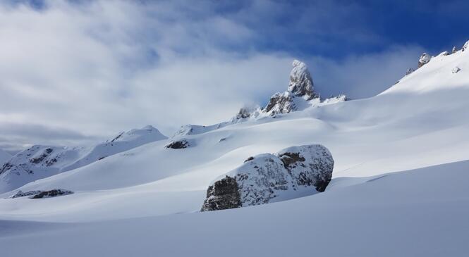 Grand tour "Nature" de la Pierra Menta image article