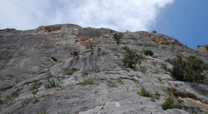 RETOUR SUR CE WE AUX DENTELLES image article