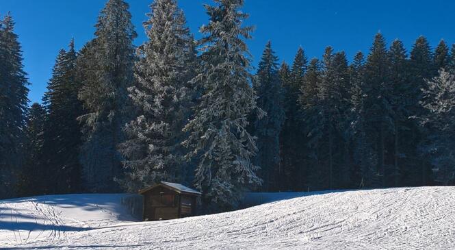 Ski de fond - Initiation - pratique - contemplation image article