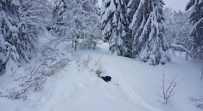 DECOUVERTE DU SKI DE RANDONNÉE image article