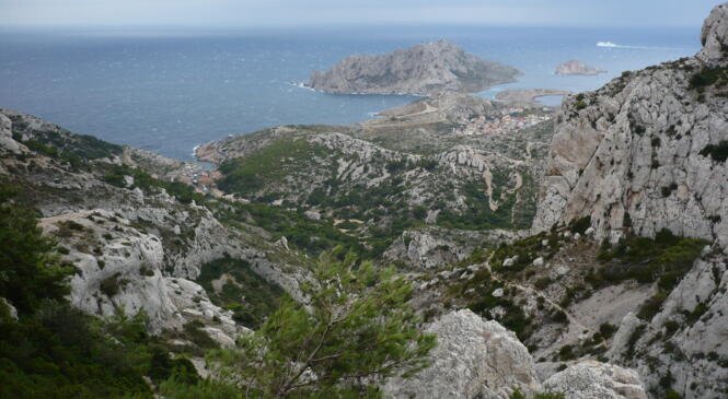 Restent 4 places CALANQUES 15-16-17 mars image article