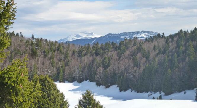 Destination : le refuge de Creux Lachat image article