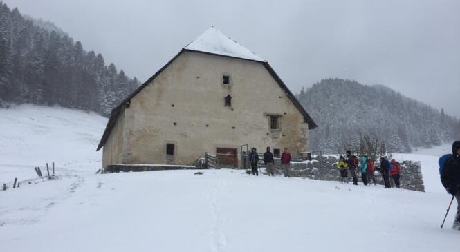 Les haberts sous la neige image article