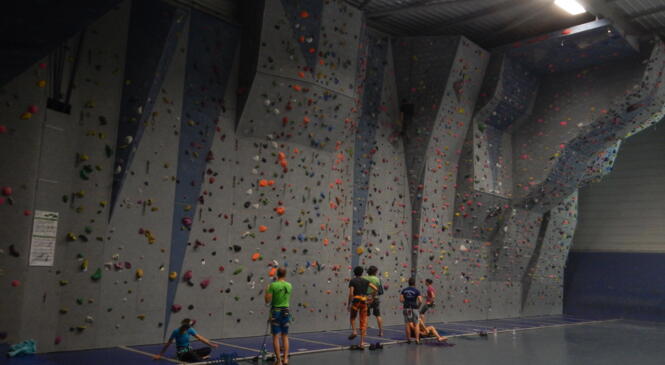 CRENEAU MUR ESCALADE LYON1 LAENNEC image article