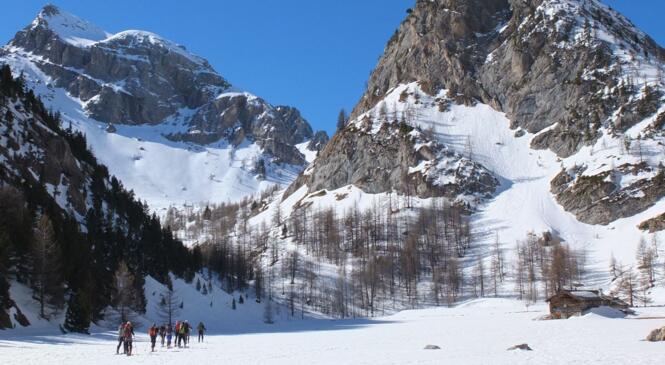 Ski de rando : des « randos cool » ! image article
