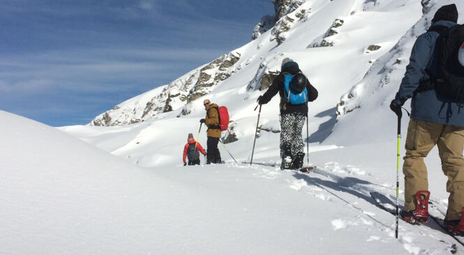 Programme de la saison Snowboard de Randonnée / Splitboard image article