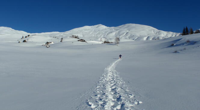 FETE DE LA MONTAGNE D'HIVER / SKI ET RAQUETTES image article