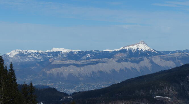 Bus, raquettes, neige et soleil ... ☺ image article