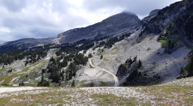 Section TRAIL - Lancement du cycle de perfectionnement du groupe intérmédiaire image article