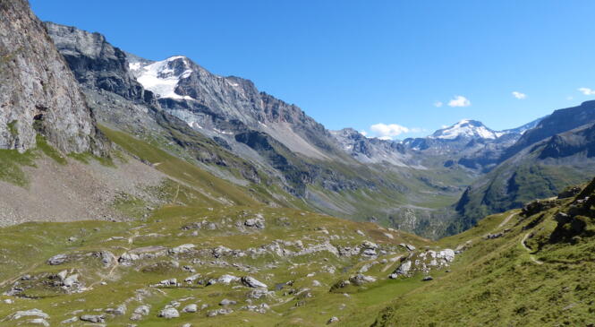 De retour de la Vanoise / Refuge Mont Pourri image article