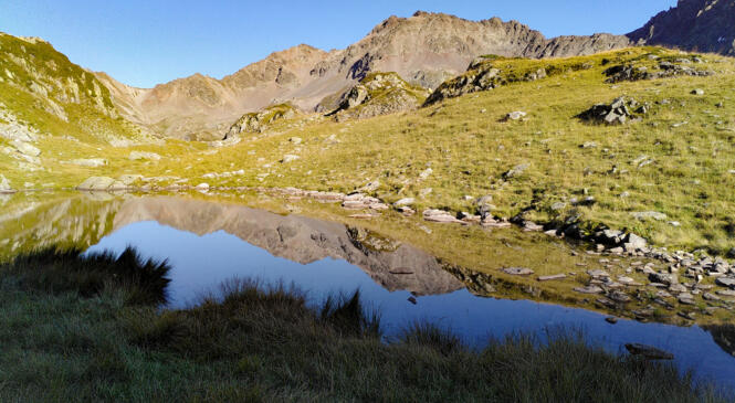Les pieds sur terre, la tête dans les nuages... image article