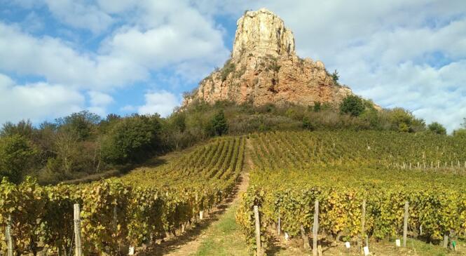 MINI CAF : A l'ascension de la Roche de Solutré image article