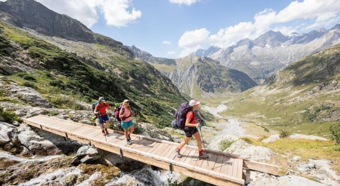 COMMUNIQUÉ POUR UN ACCÈS A LA NATURE LIBRE ET RESPONSABLE POUR TOUS image article