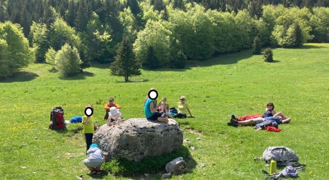 image article