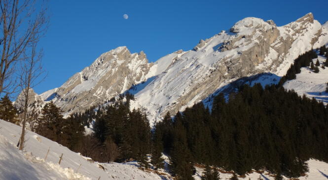 1er week-end du cycle Perf "Lagopèdes Alpins" en mobilité douce : 3 jours, 3 combes image article