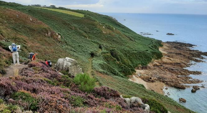Rando itinérante en Bretagne de Roscoff à Porspoder image article