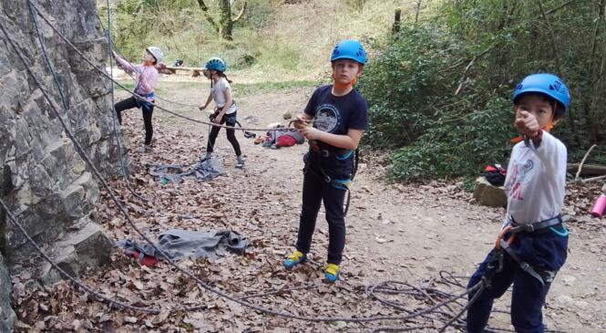Les pitchouns font de l'escalade en pleine nature image article
