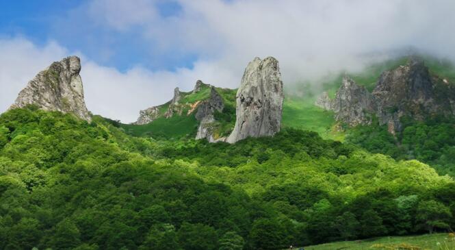 PLAIDOYER POUR L'AUVERGNE image article