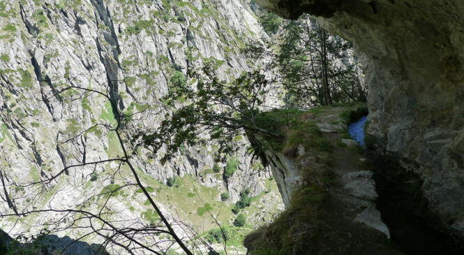 Le long des bisses du Valais image article
