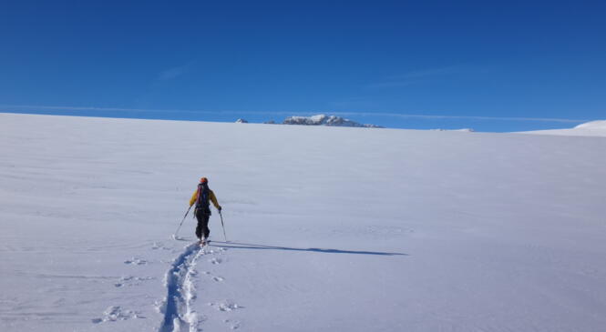 Stage Initiation « Étoile Double » à vocation pédagogique image article