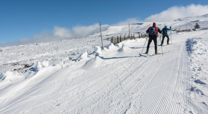SKI de FOND : soirée conviviale d'ouverture de saison le 6/12 à partir de 19h. image article