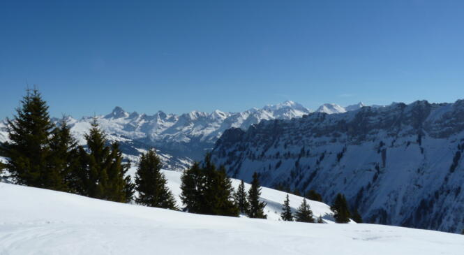 SORTIES RAQUETTE & SKI DE FOND EN BUS DIMANCHE 5 MARS image article
