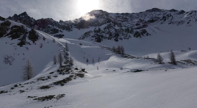 1 Place disponible - CYCLE HIVERNAL - COCKTAIL GIVRÉ 11-12/02 image article