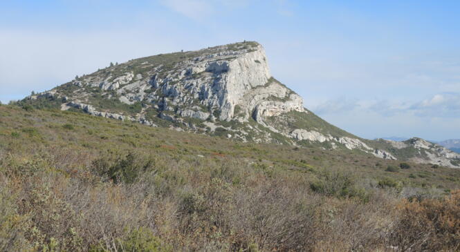 Autour du Garlaban ... image article