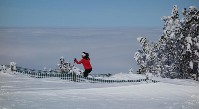 Séjour ski de fond 16-19/02/2024 Autrans image article