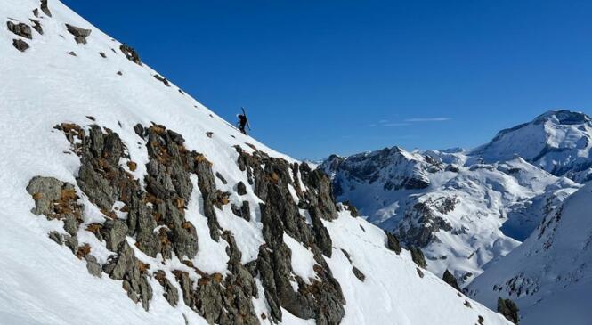 Les Bananes 2024, chapitre 2 image article