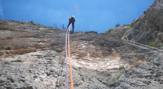 Un bon apprentissage et perfectionnement image article